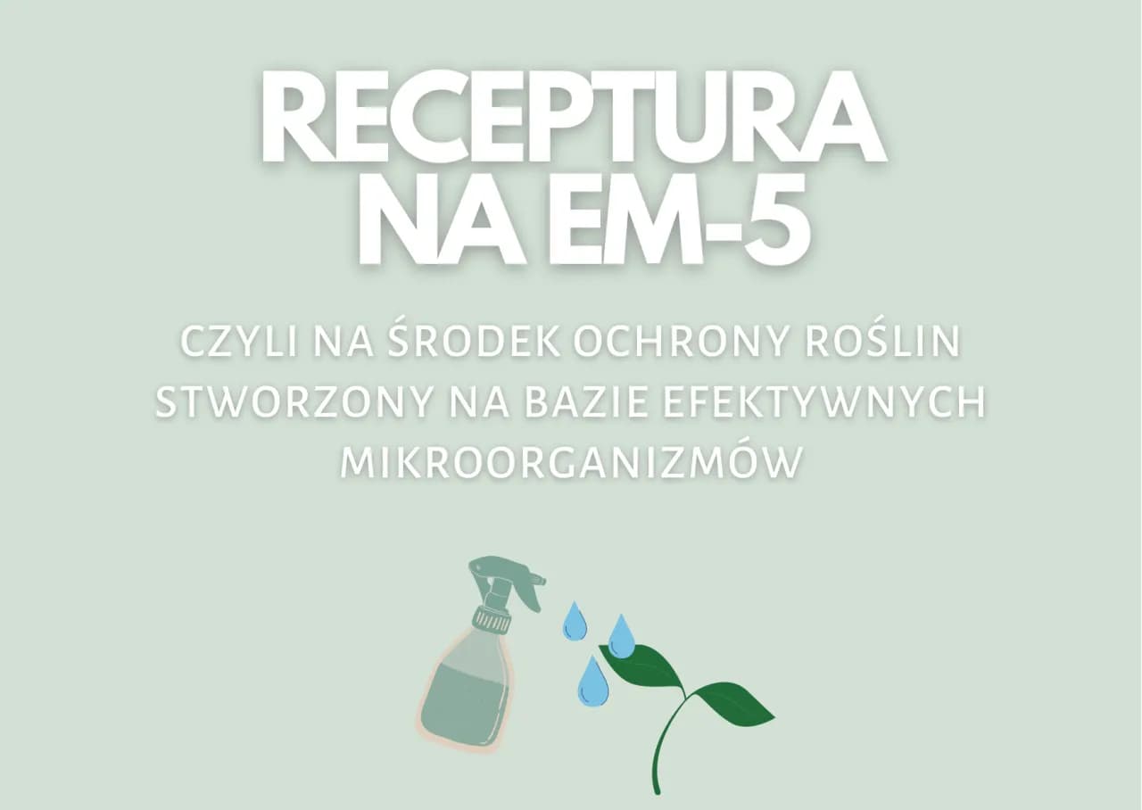 Jak samemu zrobić efektywne mikroorganizmy i poprawić plony w ogrodzie