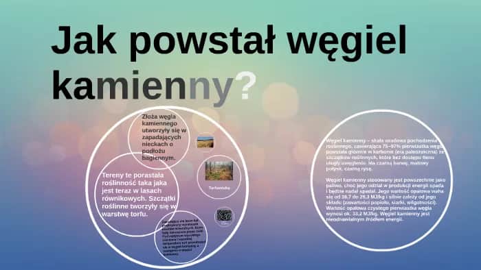 Jak powstał węgiel kamienny? Proces, warunki i tajemnice geologicznej historii