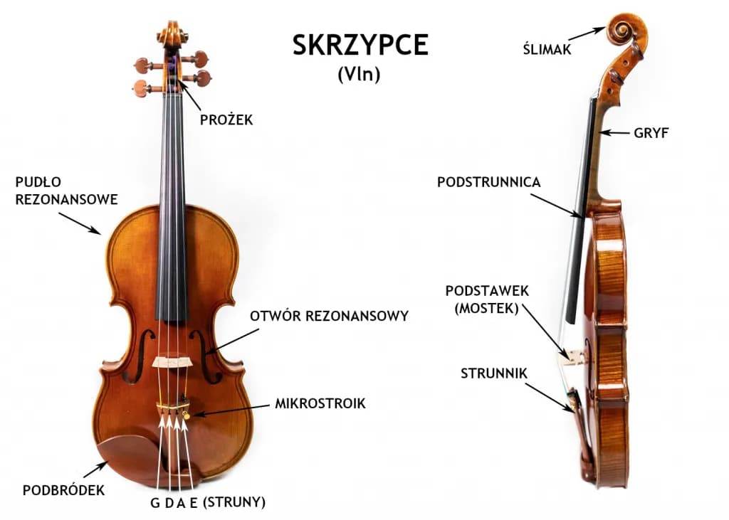 Jak powstały instrumenty smyczkowe? Odkryj ich fascynującą historię
